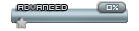 a0